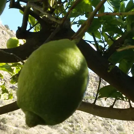 Appartement Casa Claudia San Vito Lo Capo